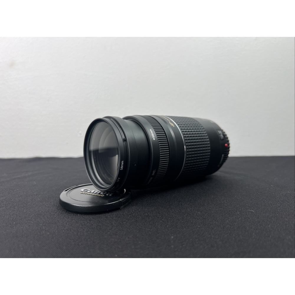 Canon Ultrasonic Zoom Lens EF 75-300mm 1:4-5.6 III USM ULTRASONIC